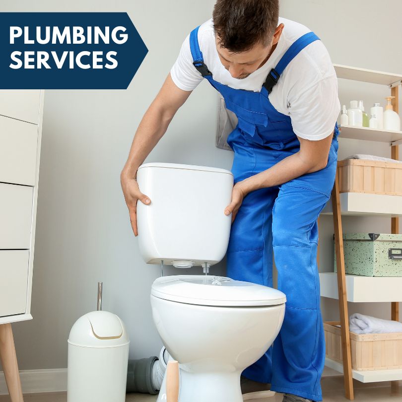 Plumbing Company in Oquawka, IL